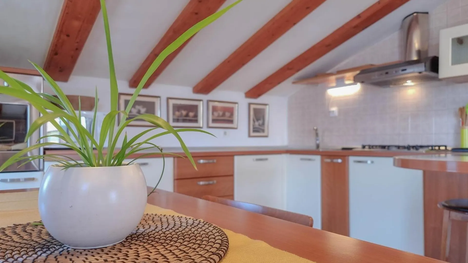 Maria Nina Apartment Novigrad